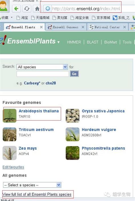 ensembl plants|ensembl database.